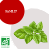 basilic