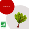 oseille