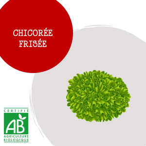 chic_frise