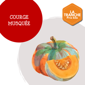 courge_musquee_1