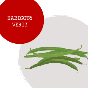 haricot_vert_1