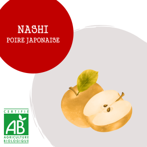 nashi