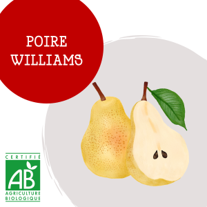 poire