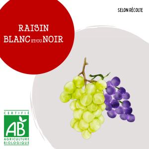 raisin_blancounoir