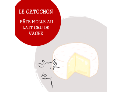 catochon