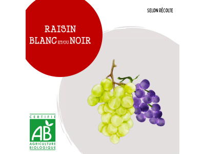 raisin_blancounoir