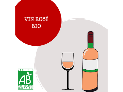 vin_ros